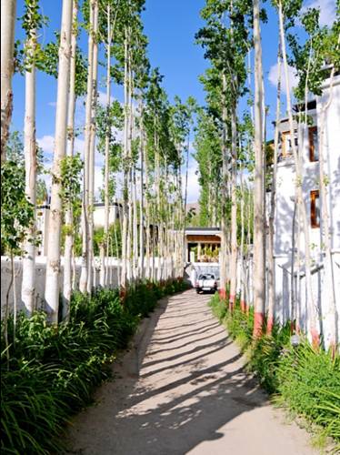 Hotel Ladakh Greens